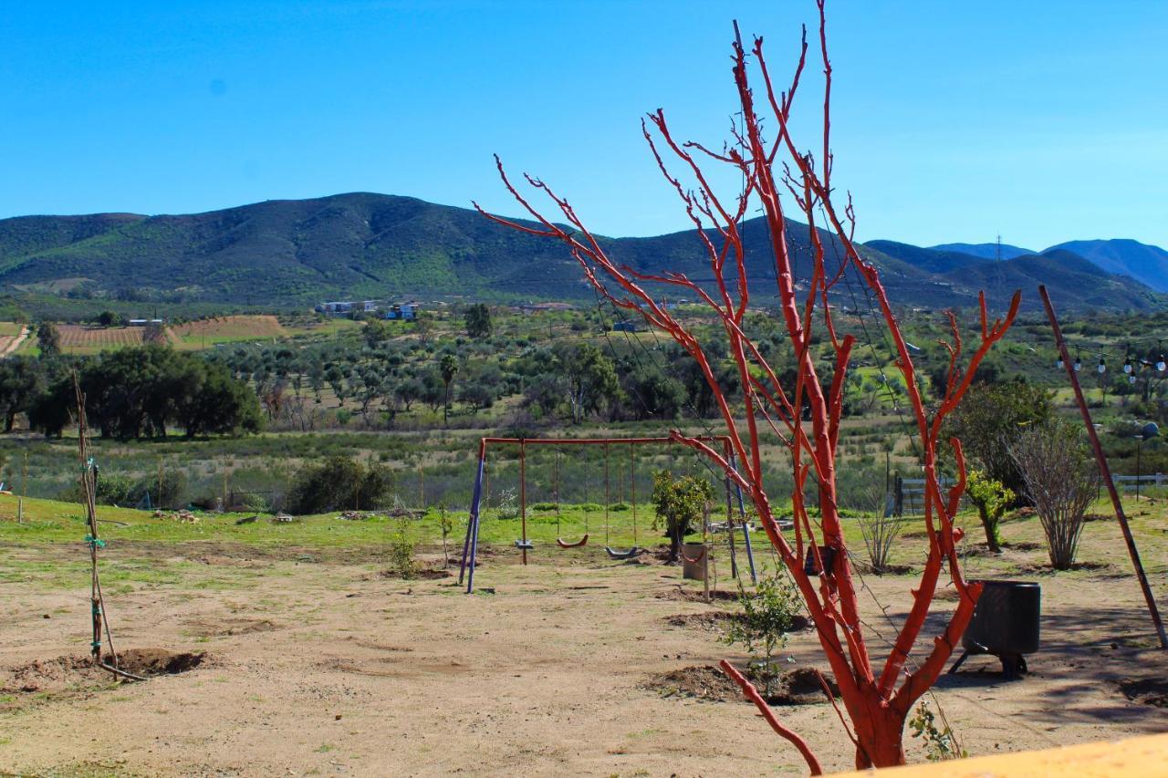Rancho Matalote En فالي دي جوادالوبي المظهر الخارجي الصورة